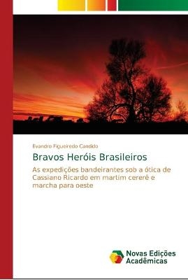 Bravos Her&oacute;is Brasileiros - Evandro Figueiredo Candido