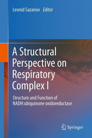A Structural Perspective on Respiratory Complex I