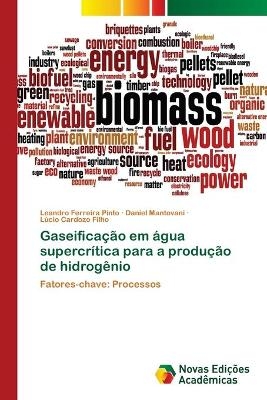 Gaseifica&ccedil;&atilde;o em &aacute;gua supercr&iacute;tica para a produ&ccedil;&atilde;o de hidrog&ecirc;nio - Leandro Ferreira Pinto, Daniel Mantovani, L&uacute;cio Cardozo Filho