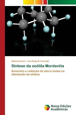 S&iacute;ntese da ze&oacute;lita Mordenita - Gabriel Zazeri, Ana Paula R Povinelli