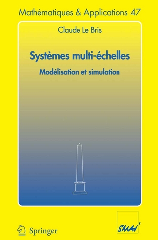 Systèmes multi-èchelles