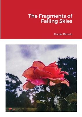 The Fragments of Falling Skies - Rachel Bartolo