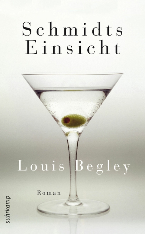 Schmidts Einsicht -  Louis Begley