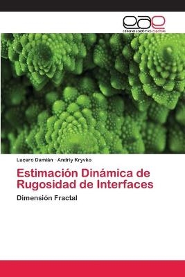 Estimación Dinámica de Rugosidad de Interfaces - Lucero Damián, Andriy Kryvko