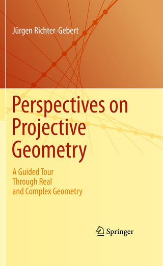 Perspectives on Projective Geometry