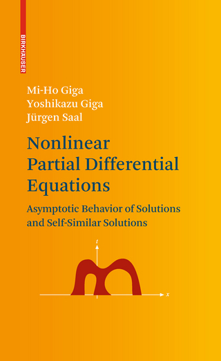 Nonlinear Partial Differential Equations