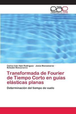 Transformada de Fourier de Tiempo Corto en guías elásticas planas