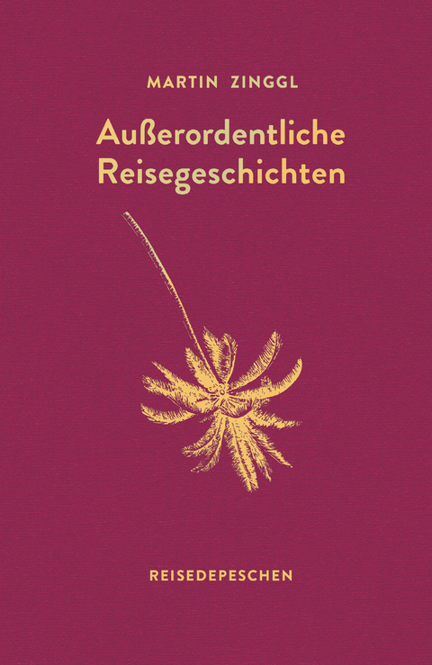 Außerordentliche Reisegeschichten - Martin Zinggl