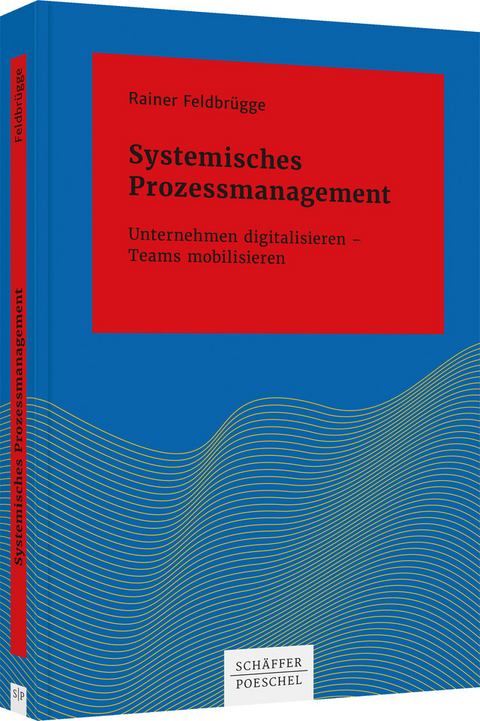 Systemisches Prozessmanagement - Rainer Feldbr&uuml;gge