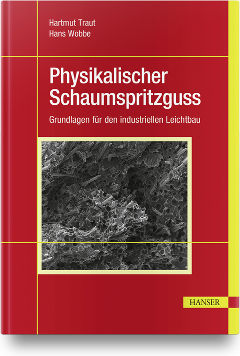 Physikalischer Schaumspritzguss - Hartmut Traut, Hans Wobbe