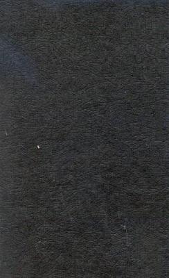 The Changing Nature of Racial and Ethnic Conflict in United States History