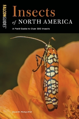 Insects of North America - David M. Phillips