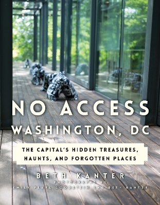 No Access Washington, DC - Beth Kanter