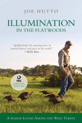 Illumination in the Flatwoods - Joe Hutto