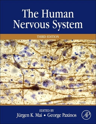 Human Nervous System