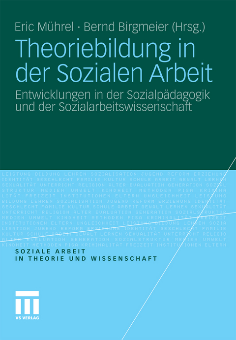 Theoriebildung in der Sozialen Arbeit - 