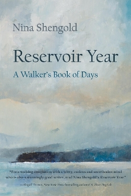 Reservoir Year - Nina Shengold