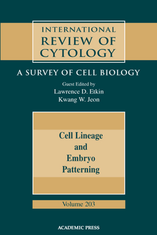 Cell Lineage and Embryo Patterning