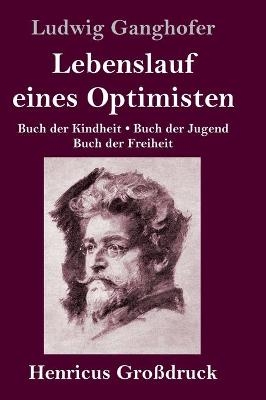 Lebenslauf eines Optimisten (GroÃdruck)
