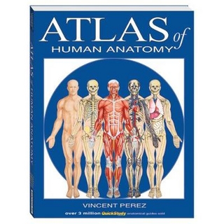 Atlas Of Human Anatomy