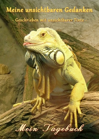 Meine unsichtbaren Gedanken