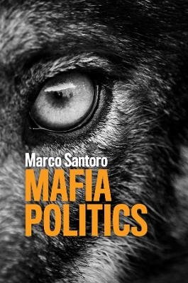 Mafia Politics - Marco Santoro