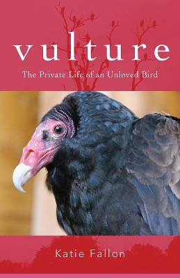 Vulture &ndash; The Private Life of an Unloved Bird - Katie Fallon