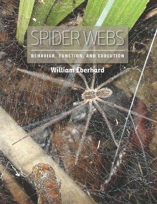 Spider Webs - William Eberhard