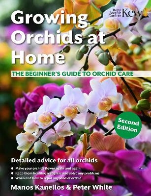 Growing Orchids at Home