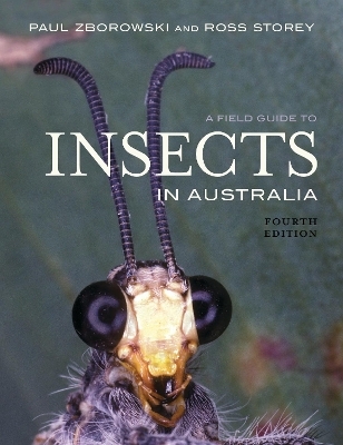 A Field Guide to Insects in Australia - Paul Zborowski, Ross Storey