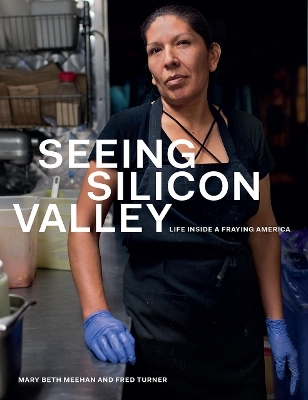 Seeing Silicon Valley - Mary Beth Meehan, Fred Turner