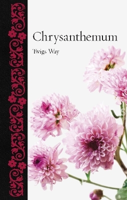 Chrysanthemum - Twigs Way