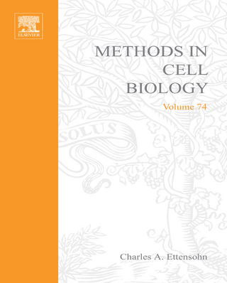 Development of Sea Urchins, Ascidians, and Other Invertebrate Deuterostomes: Experimental Approaches