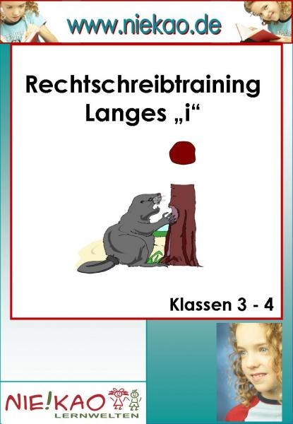 Rechtschreiben mit Strategie - Das lange i