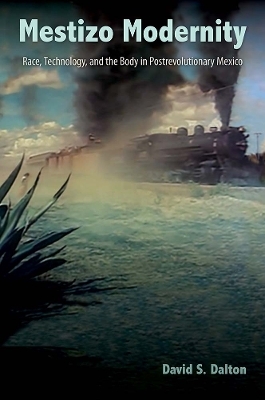 Mestizo Modernity - David S. Dalton