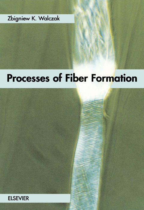 Processes of Fiber Formation -  Z.K. Walczak