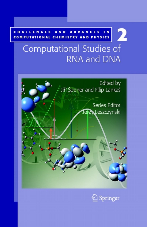 Computational studies of RNA and DNA - 