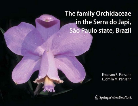 The Family Orchidaceae in the Serra do Japi, S&atilde;o Paulo state, Brazil - 