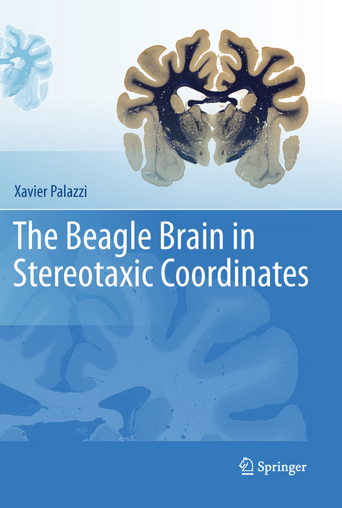 The Beagle Brain in Stereotaxic Coordinates - Xavier Palazzi