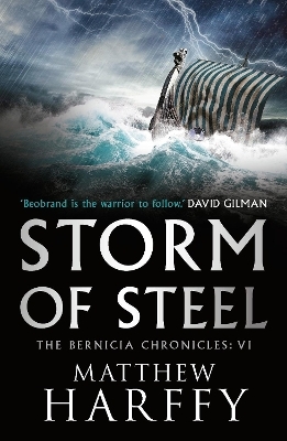 Storm of Steel - Matthew Harffy
