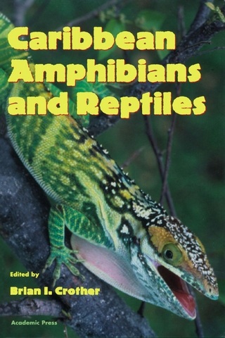 Caribbean Amphibians and Reptiles