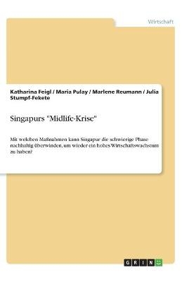 Singapurs "Midlife-Krise" - Katharina Feigl, Maria Pulay, Marlene Reumann, Julia Stumpf-Fekete
