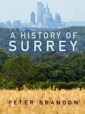 A History of Surrey