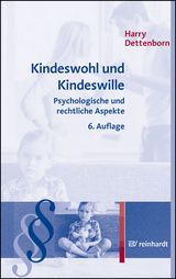 Kindeswohl und Kindeswille - Harry Dettenborn
