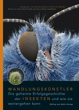 Wandlungskünstler. Die geheime Erfolgsgeschichte der Insekten und wie sie weitergehen kann