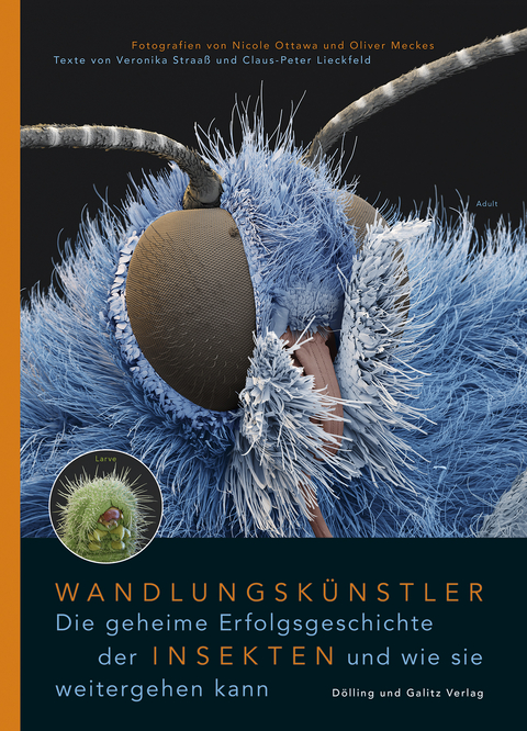 Wandlungskünstler. Die geheime Erfolgsgeschichte der Insekten und wie sie weitergehen kann - Veronika Straa&szlig;, Claus-Peter Lieckfeld
