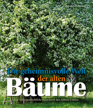Die geheimnisvolle Welt der alten Bäume