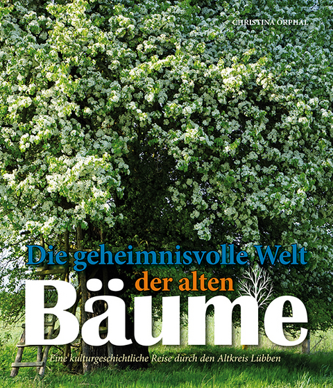 Die geheimnisvolle Welt der alten B&auml;ume - Christina Orphal