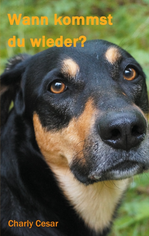 Wann kommst du wieder? - Charly Cesar