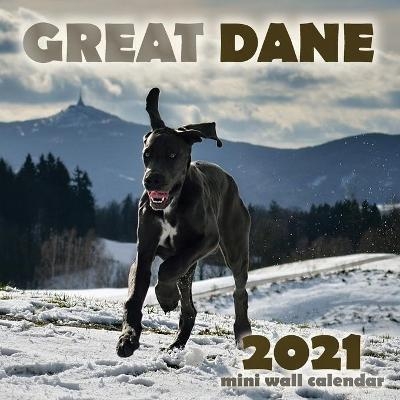 Great Dane 2021 Mini Wall Calendar -  Over the Wall Dogs